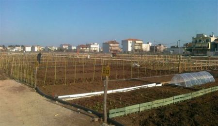 «Ανθίζουν» οι δημοτικοί λαχανόκηποι για άστεγους, άνεργους, άπορους