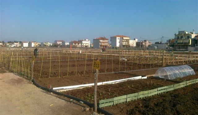 «Ανθίζουν» οι δημοτικοί λαχανόκηποι για άστεγους, άνεργους, άπορους