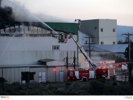 Creta Farms: Ομαλή η τροφοδοσία της αγοράς μετά την πυρκαγιά