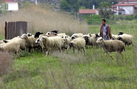 Ανακοινώθηκε η πρώτη Ζώνη Eκτατικής Κτηνοτροφίας