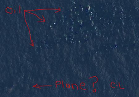 Κόρτνεϊ Λαβ: Νομίζω ότι βρήκα πού έπεσε το μαλαισιανό αεροπλάνο