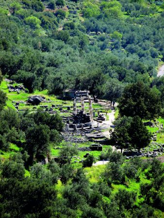 Το λάδι της ζωής