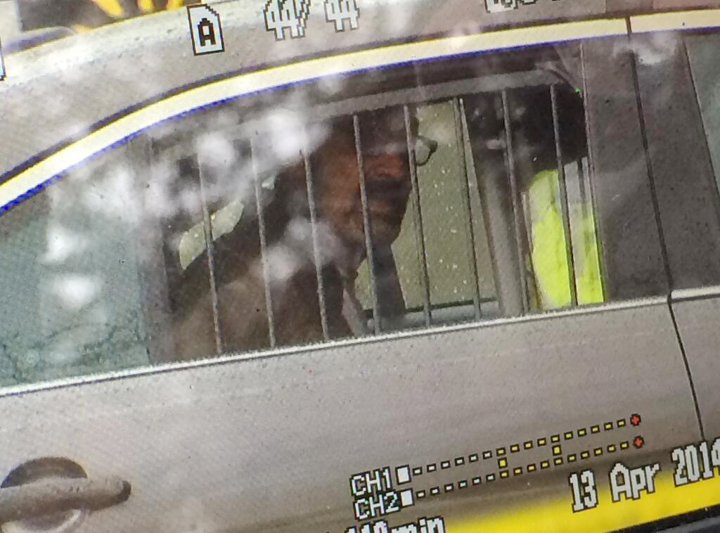 Κάνσας: Πρώην μέλος της Κου Κλουξ Κλάν ύποπτο για τρεις δολοφονίες