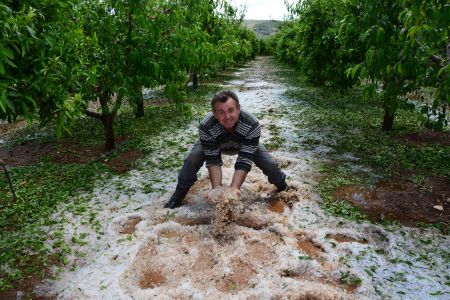 Παραγωγοί μηνύουν το ΕΛΓΑ για τις ζημιές που προκλήθηκαν από το χαλάζι
