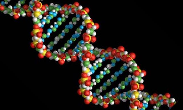 Οργανισμός με «εξωγήινο» DNA | tovima.gr