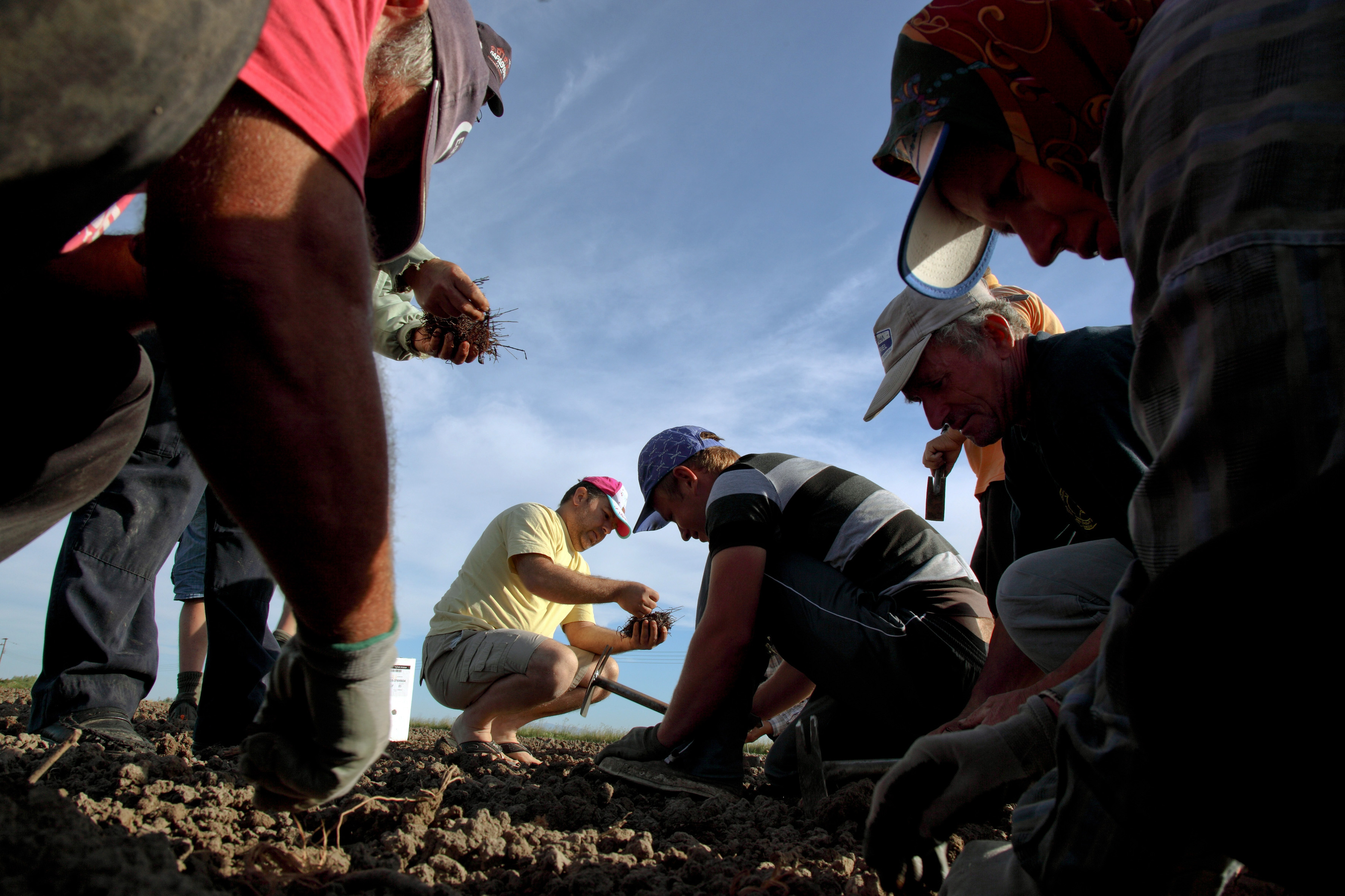 ΕΛΓΑ: Καταβολή αποζημιώσεων σε 1.070 αγρότες την Πέμπτη