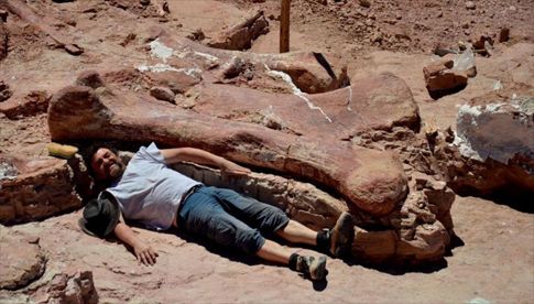 Ανακαλύφθηκαν απολιθώματα του «μεγαλύτερου δεινόσαυρου στον κόσμο»