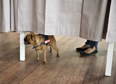 Δανία-Ευρωεκλογές: Πρώτη δύναμη την ακροδεξιά δείχνουν τα exit poll