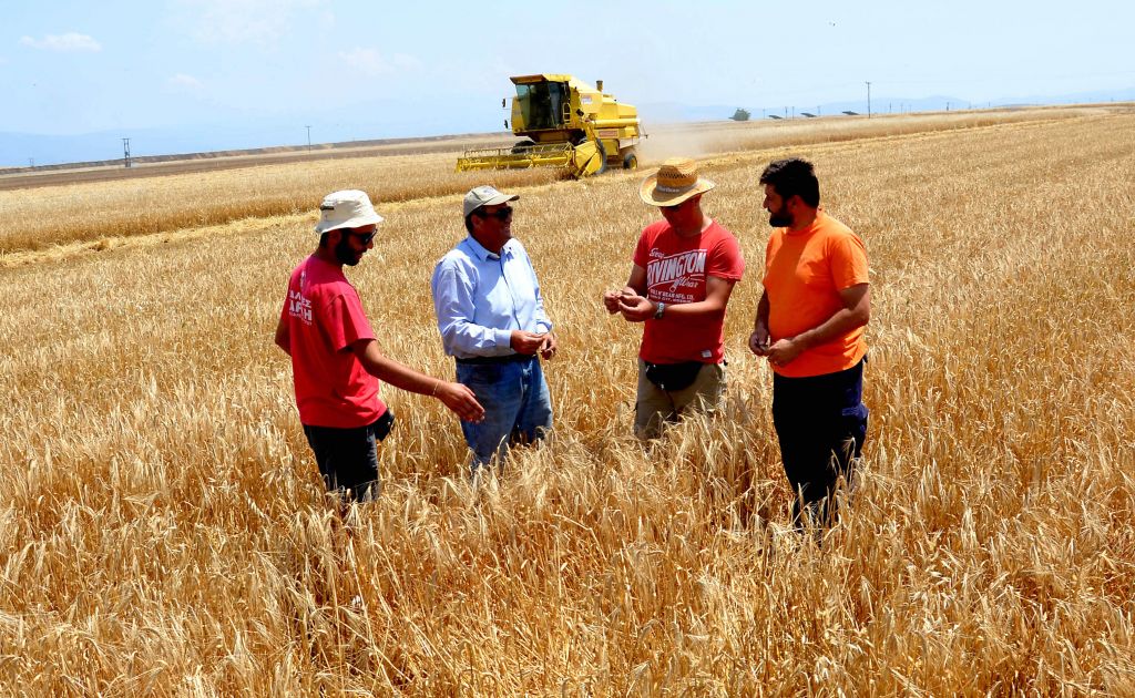 Ενισχύσεις ύψους 16,9 εκατ. ευρώ σε 12.852 νέους αγρότες