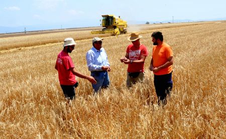 Βουλευτές ΝΔ: Να φορολογούνται ευνοϊκότερα οι αγρότες