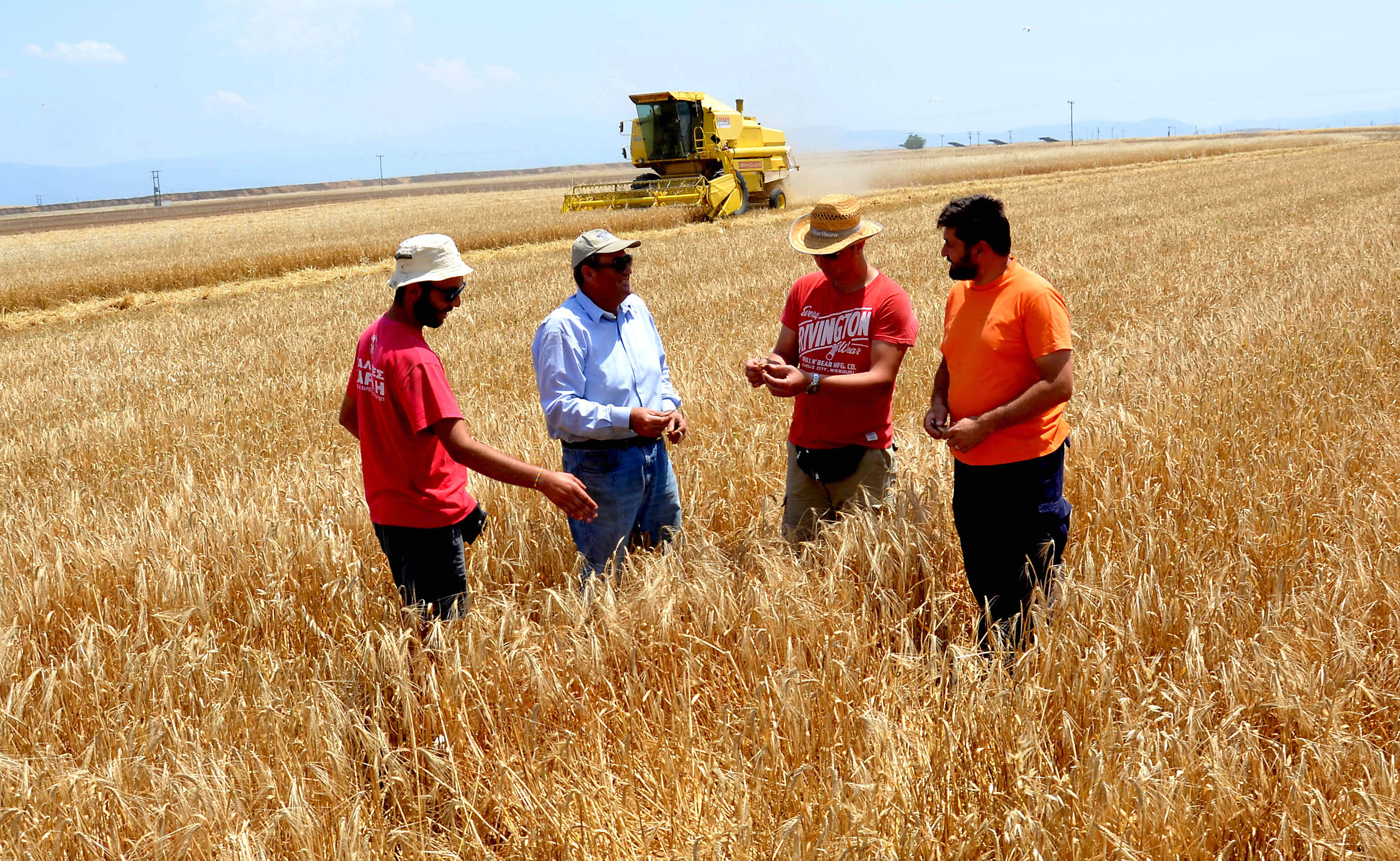Βουλευτές ΝΔ: Να φορολογούνται ευνοϊκότερα οι αγρότες