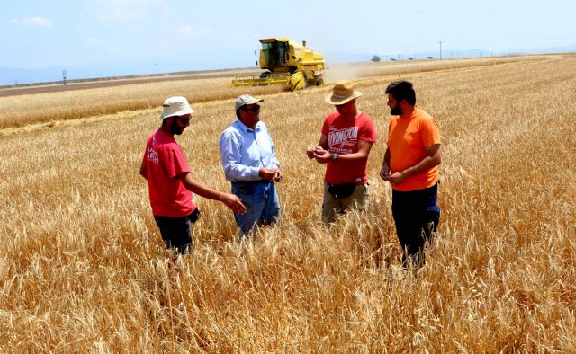 Η συμβολαιακή γεωργία ξανασπέρνει με σιτάρι τη Θεσσαλία