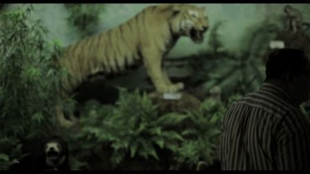 Ταινίες μικρού μήκους στο Γαλλικό Ινστιτούτο