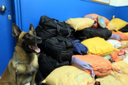 Courts detain additional suspect in relation to heroin cartel