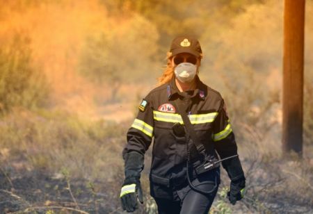Fire that broke out in Armenistis, Halkidiki “under control”