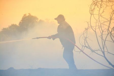 Δασικές πυρκαγιές σε Λάρισα και Φθιώτιδα
