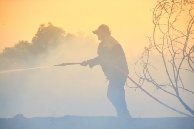 Δασικές πυρκαγιές σε Λάρισα και Φθιώτιδα