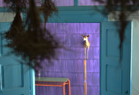 Γλυκό πουλί της τέχνης στην Υδρα