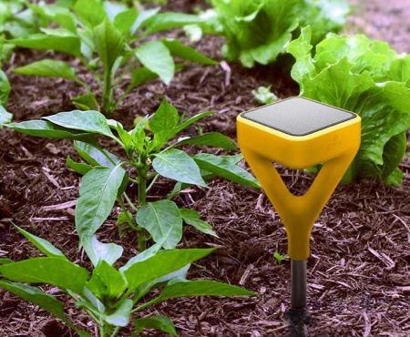 Ο… ειδικός που θα δημιουργήσει τον κήπο της φαντασίας σας