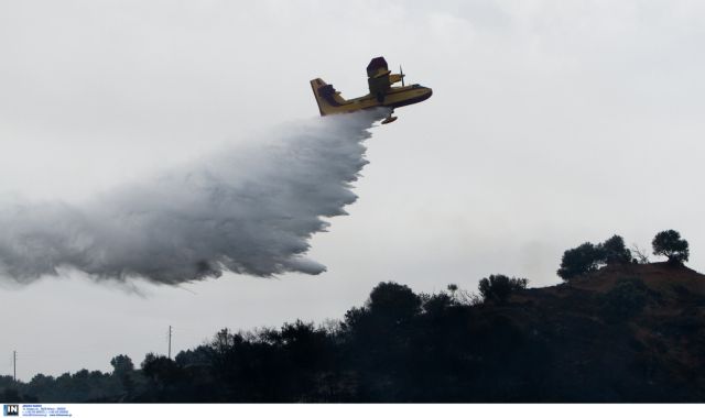 Arta: Fire Brigade sets forest fire under partial control