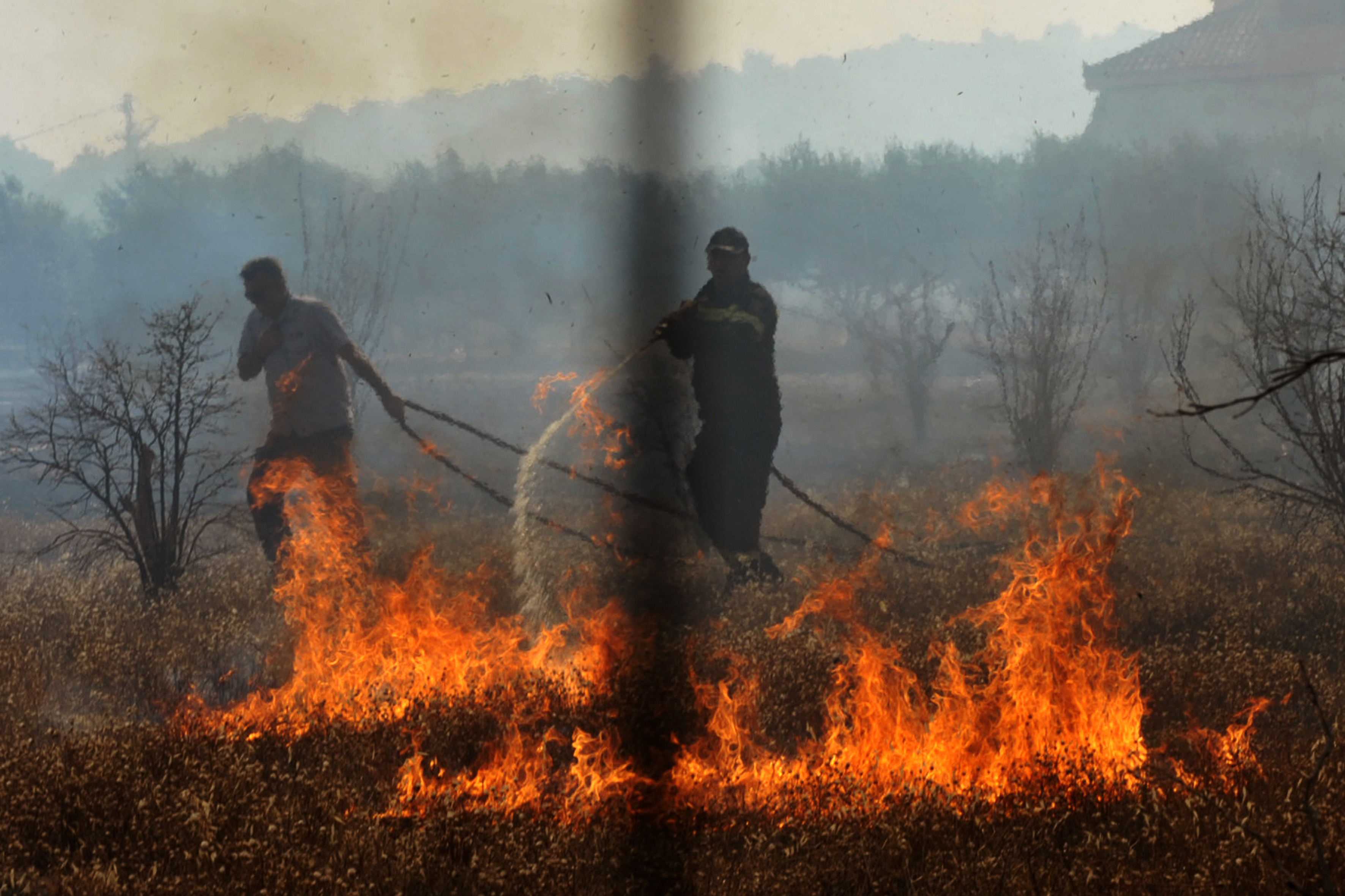 Πάνω από 40.000 στρέμματα κάηκαν σε Μαλεσίνα και νομό Λαρίσης