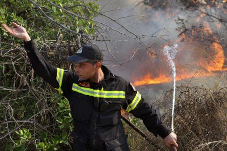 Πυρκαγιά στην Βάθεια της Μάνης – Εκκενώθηκε χωριό