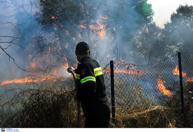Σε εξελιξη πυρκαγιά σε χαμηλή βλάστηση στο Νέο Βουτζά Αττικής | tovima.gr