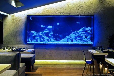 Γευσιγνωσία: Δύο, τρεις ή τέσσερις λεπίδες;