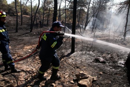 Υπό μερικό έλεγχο τέθηκε η πυρκαγιά στην Άρτα
