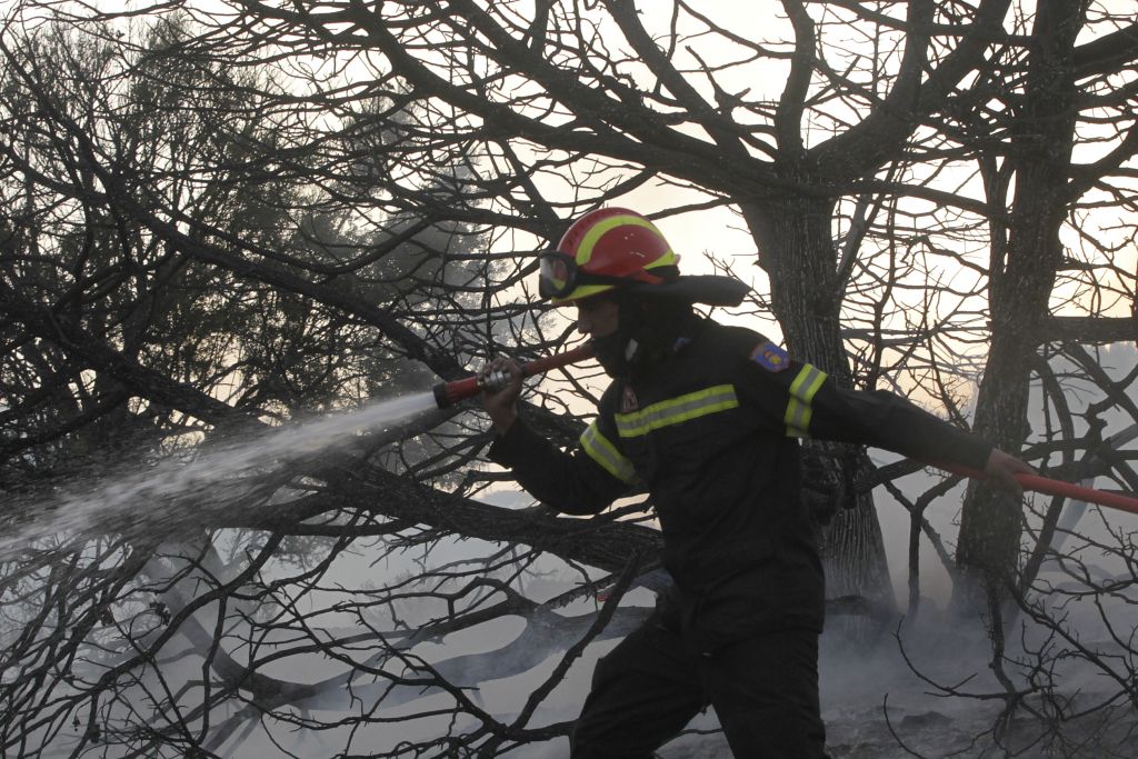 Νομοσχέδιο: Εκτός αναδάσωσης καταπατημένες ή αποψιλωμένες εκτάσεις