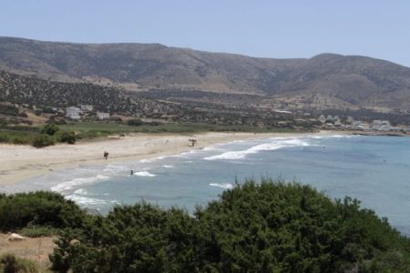 WWF: Μη ψηφίσετε την πολεοδόμηση δασών και την τουριστική ανάπτυξη