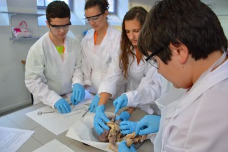 Τα ξεχωριστά παιδιά πλήττουν στο σχολείο