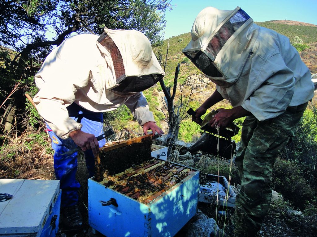 Γλυκόξινα: Μια φορά κι έναν καιρό