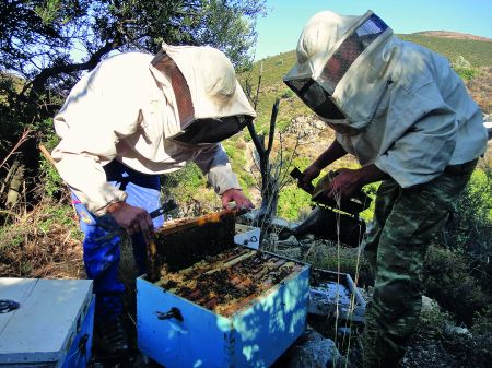 Γλυκόξινα: Μια φορά κι έναν καιρό