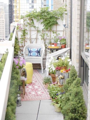 Φτιάξτε ένα φυτοφράκτη στο μπαλκόνι σας