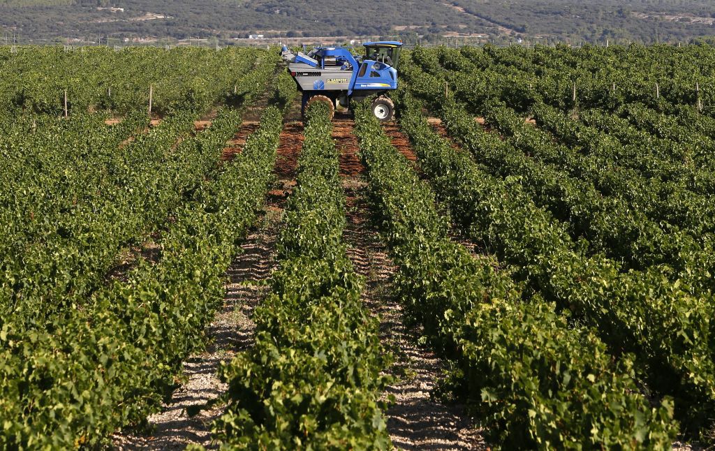 Ιταλία: Σε πάνω από 200 εκατ ευρώ η ζημιά των παραγωγών από το εμπάργκο