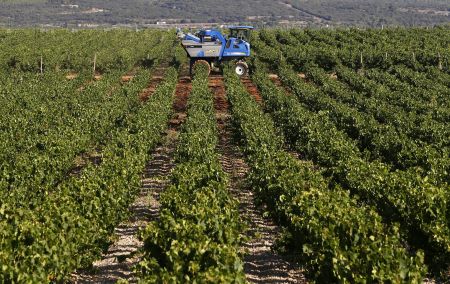 Ιταλία: Σε πάνω από 200 εκατ ευρώ η ζημιά των παραγωγών από το εμπάργκο