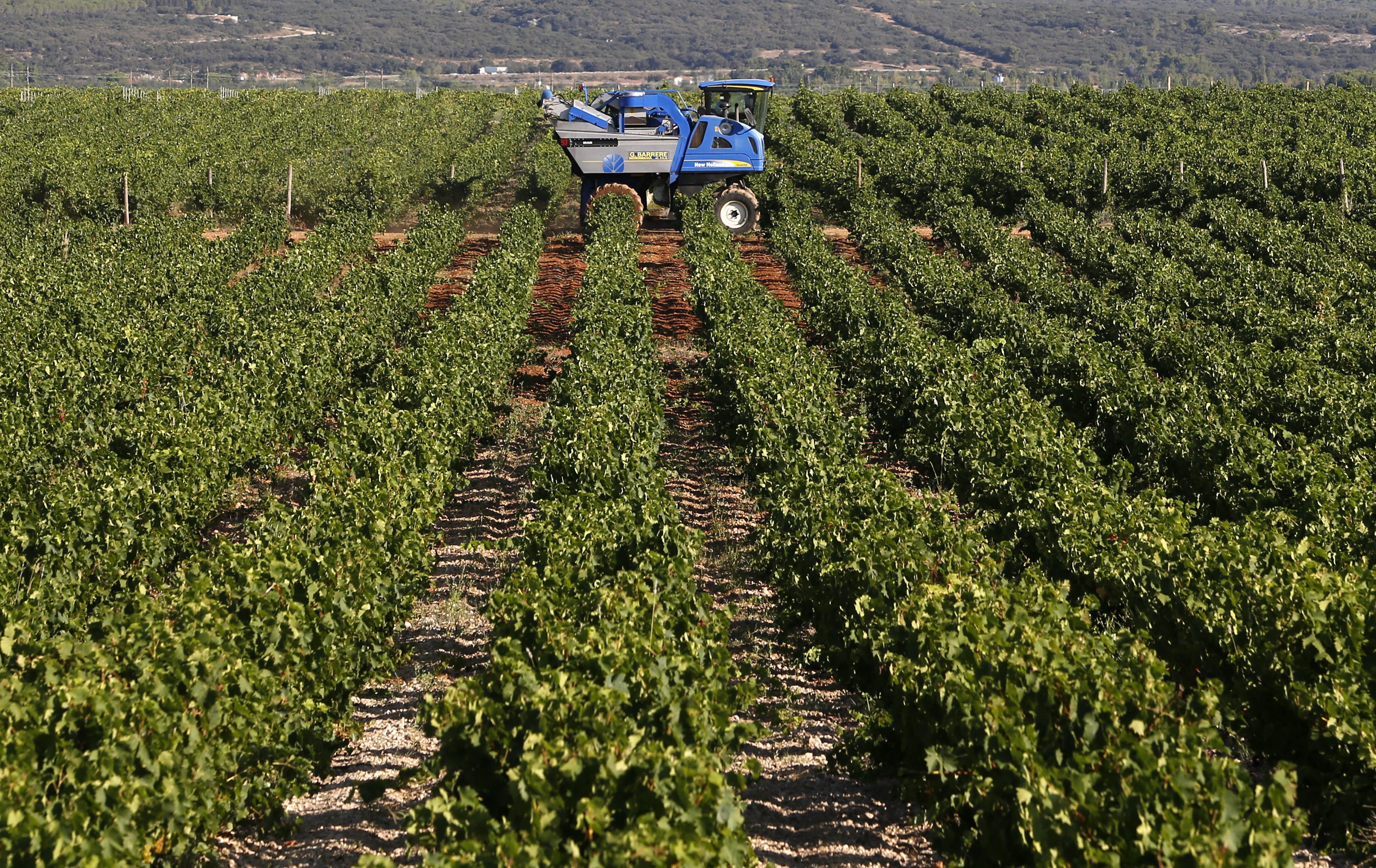 Ιταλία: Σε πάνω από 200 εκατ ευρώ η ζημιά των παραγωγών από το εμπάργκο
