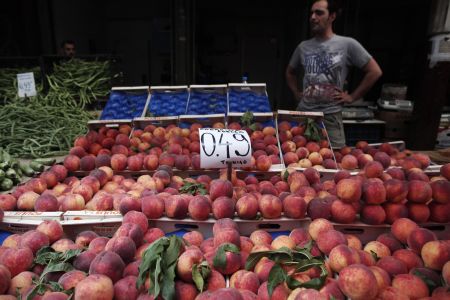 Γερμανία: «Οχι» πλήρης αποζημίωση στους αγρότες για το εμπάργκο