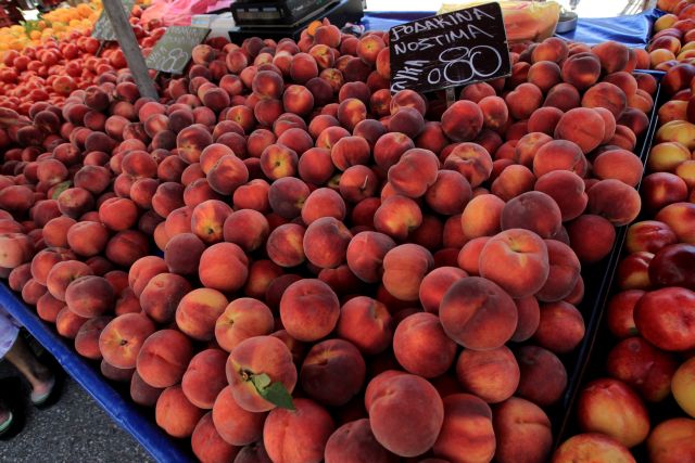 Trucks with Greek peaches turned back at Russian border