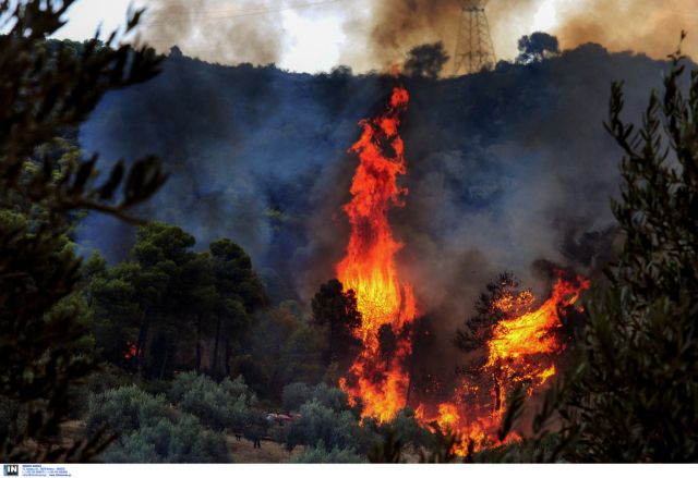 Μεγάλη πυρκαγιά στην Κίσσαμο Χανίων