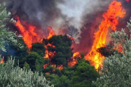 Συνελήφθη κτηνοτρόφος για εμπρησμό σε δάσος στην Ιεράπετρα