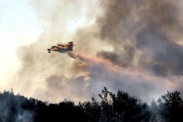 Μάχη με τις φλόγες δίνουν οι πυροσβέστες στην Ανδρο | tovima.gr