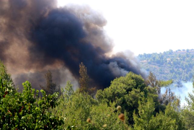 Crete: Forest fire breaks out near Ierapetra