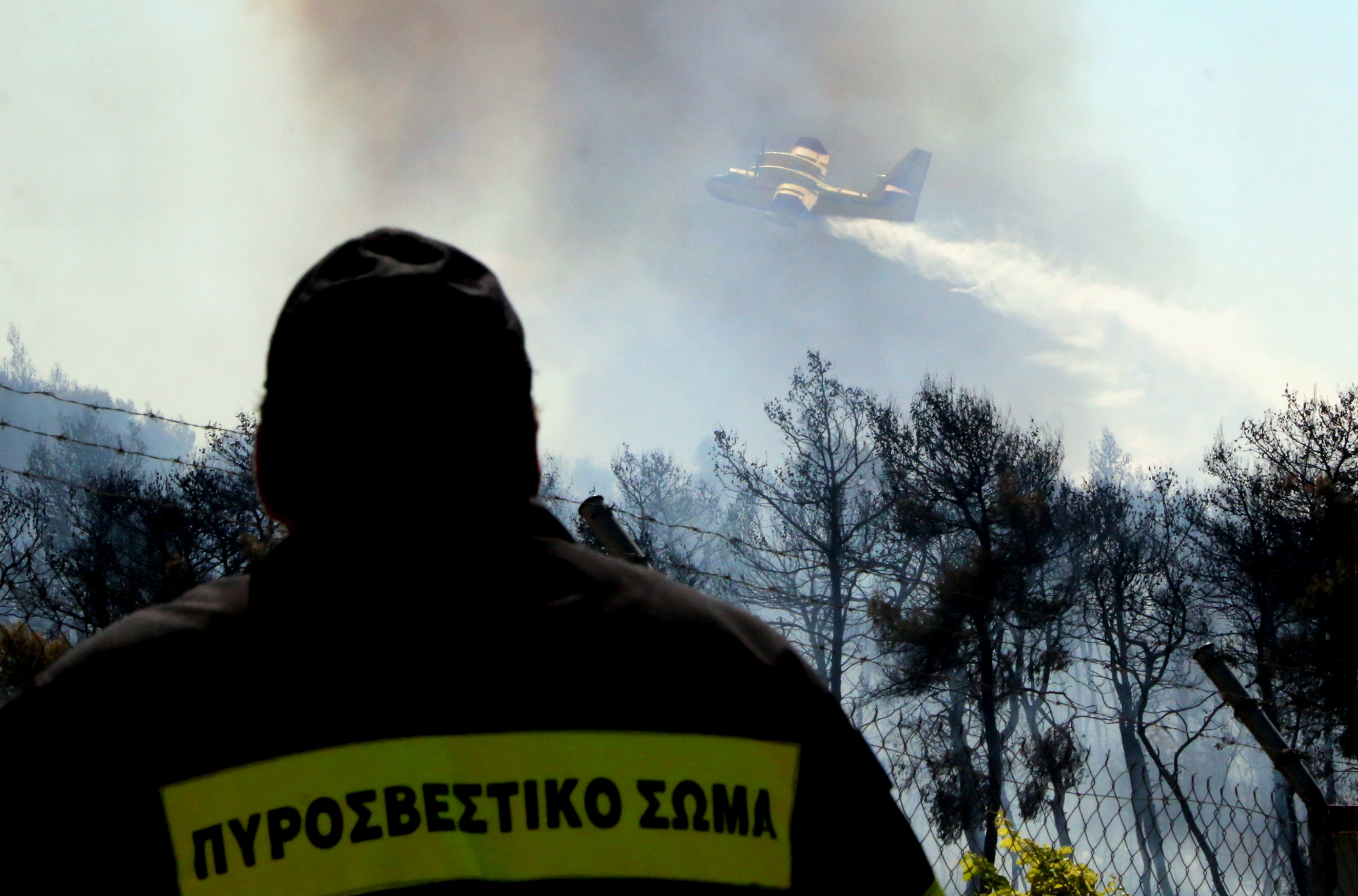 Μάχη με τις φλόγες σε Καλαμπάκα και Βοιωτία