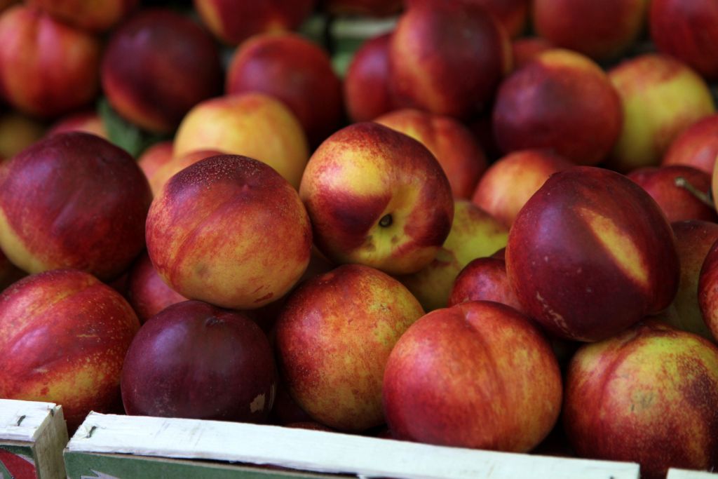 Αίτημα στην Ε.Ε. για την κατάρρευση της τιμής στα ροδάκινα λόγω εμπάργκο