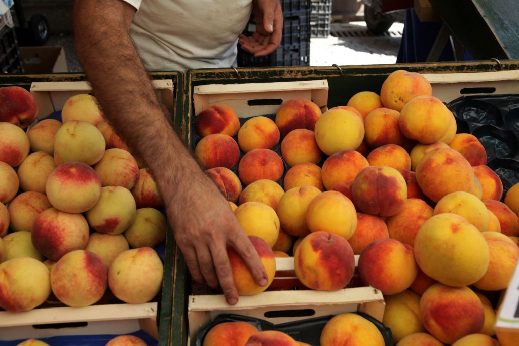 Στο αρμόδιο υπουργείο τα στοιχεία για αποτίμηση της ζημιάς στο ροδάκινο