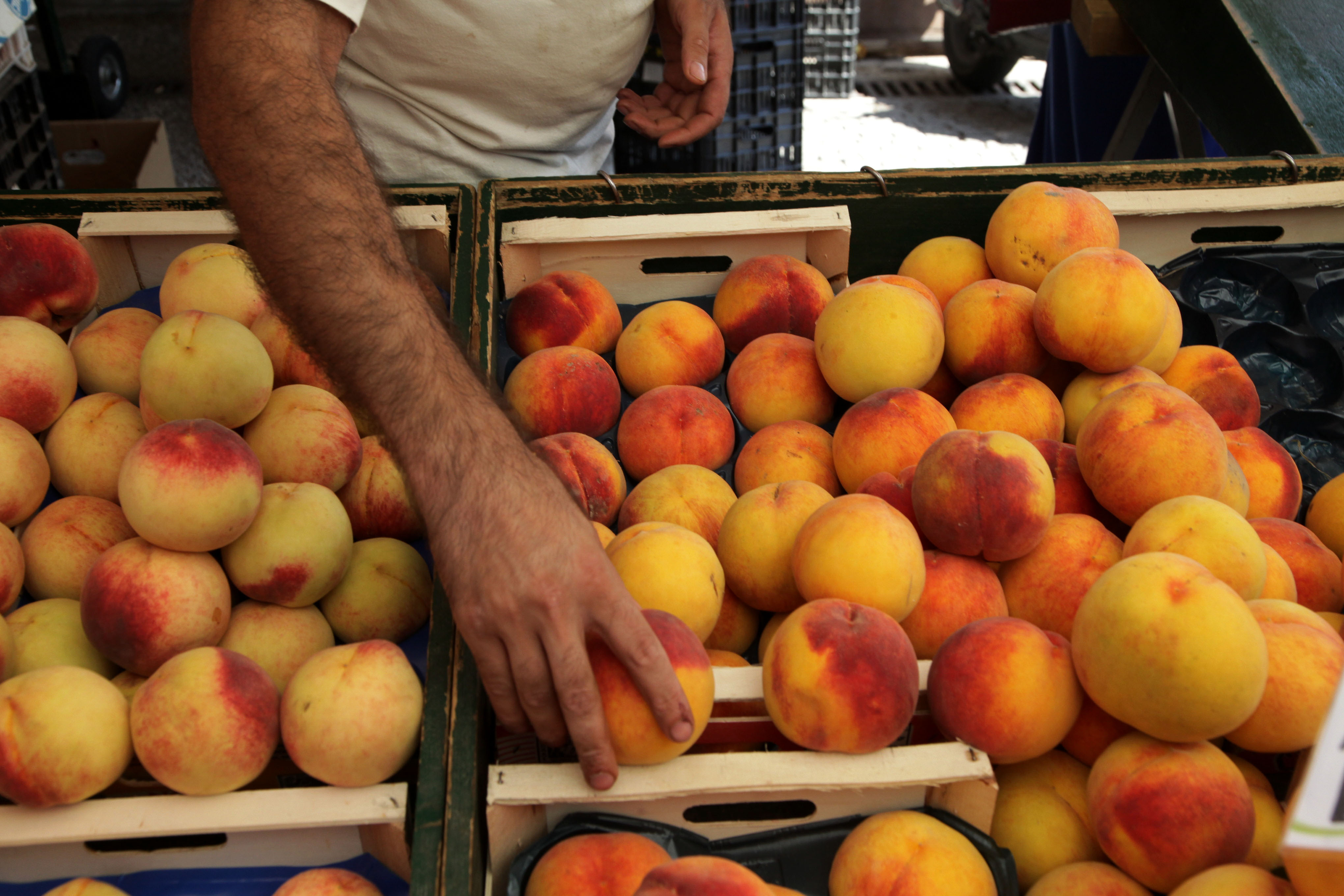 Στο αρμόδιο υπουργείο τα στοιχεία για αποτίμηση της ζημιάς στο ροδάκινο