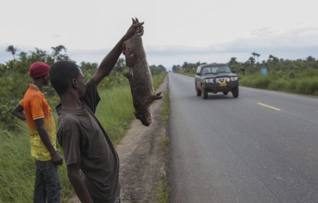 Και άλλος γιατρός θύμα του Εμπολα στη Σιέρα Λεόνε