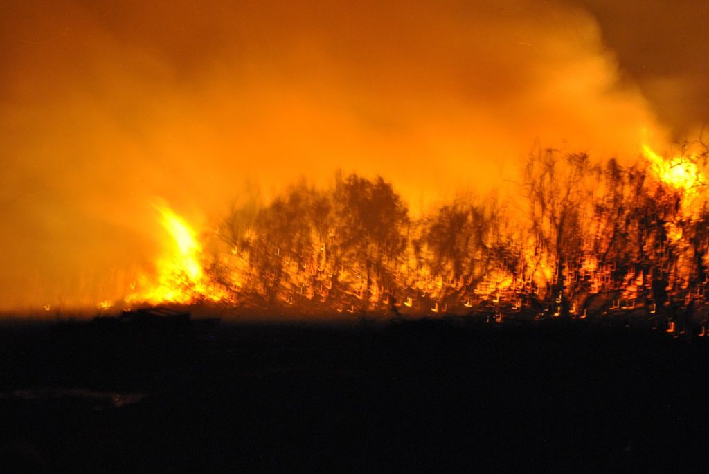 Σε ύφεση η πυρκαγιά την Μεσσηνία – Εγιναν στάχτη 2.000 στρέμματα